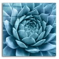 thumbnail image 1 of Epic Art 'Silvery Blue Agave' by Jan Bell Acrylic Glass Wall Art, 36"x36", 1 of 8