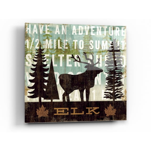 Epic Art 'Simple Living Elk' by Michael Mullan, Acrylic Glass Wall Art, 24"x24"