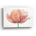 thumbnail image 1 of Epic Art 'Single Pink Bloom I' by Tim O'Toole, Acrylic Glass Wall Art, 24"x16", 1 of 3