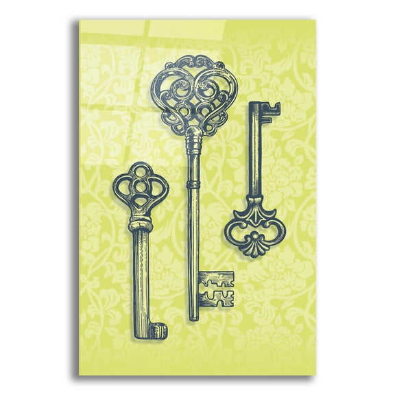 Epic Art 'Skeleton Keys' by Rachel Caldwell, Acrylic Glass Wall Art, 16"x24"