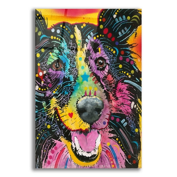 Epic Art 'Smiling Collie ' by Dean Russo, Acrylic Glass Wall Art, 16"x24"