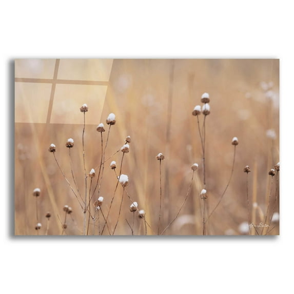 Epic Art 'Snow Capped Wildflowers' by Lori Deiter Acrylic Glass Wall Art, 24"x16"