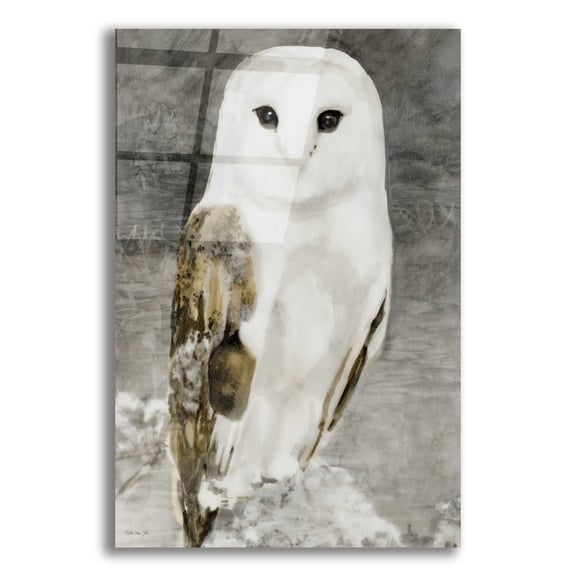 Epic Art 'Snowy Owl 1' by Stellar Design Studio, Acrylic Glass Wall Art, 16"x24"