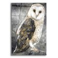 thumbnail image 1 of Epic Art 'Snowy Owl 2' by Stellar Design Studio, Acrylic Glass Wall Art, 12"x16", 1 of 8