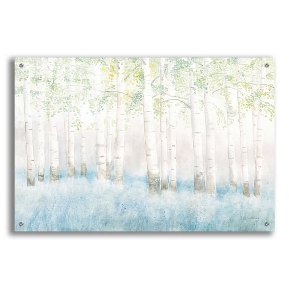Epic Art 'Soft Birches' by James Wiens, Acrylic Glass Wall Art, 36"x24"