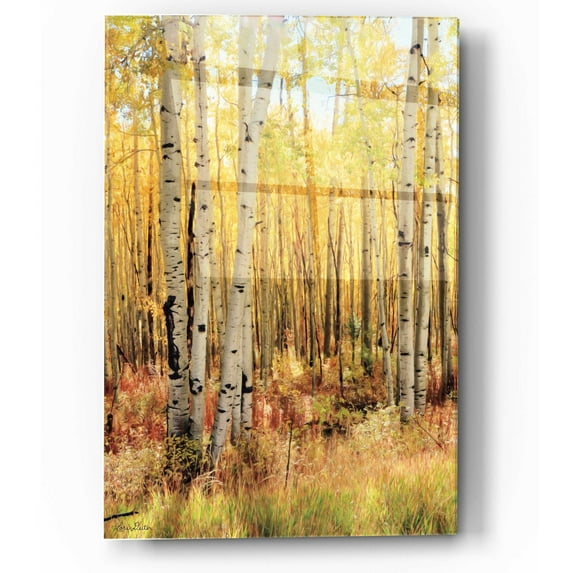 Epic Art 'Solid Gold II - Dark version' by Lori Deiter, Acrylic Glass Wall Art, 12"x16"