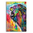 thumbnail image 1 of Epic Art 'South African Lion' by Dean Russo, Acrylic Glass Wall Art, 12"x16", 1 of 8