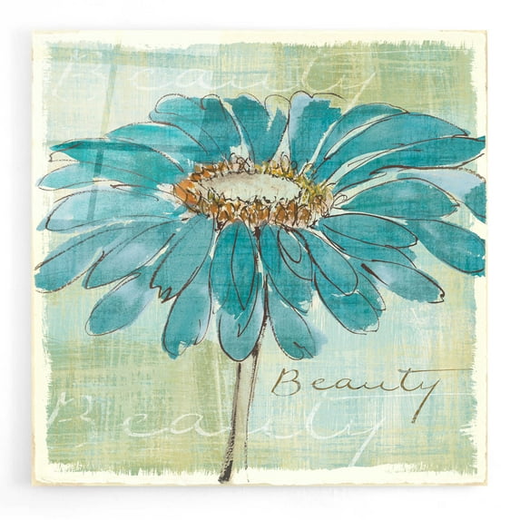 Epic Art 'Spa Daisies I' by Chris Paschke, Acrylic Glass Wall Art, 12"x12"