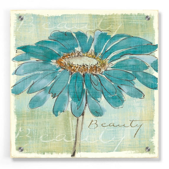 Epic Art 'Spa Daisies I' by Chris Paschke, Acrylic Glass Wall Art, 36"x36"