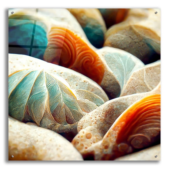 Epic Art 'Space Sea Shells' by Epic Portfolio, Acrylic Glass Wall Art, 36"x36"