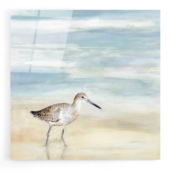 Epic Art 'Speckled Willet I' by Victoria Borges, Acrylic Wall Art, 12"x12"
