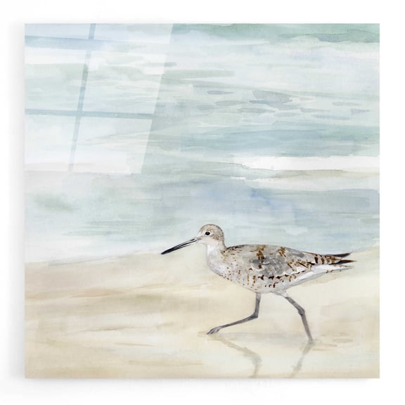 Epic Art 'Speckled Willet II' by Victoria Borges, Acrylic Wall Art, 12"x12"