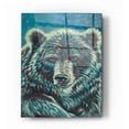 thumbnail image 1 of Epic Art 'Spirit Animal I' by Carolee Vitaletti Acrylic Glass Wall Art, 16"x24", 1 of 2