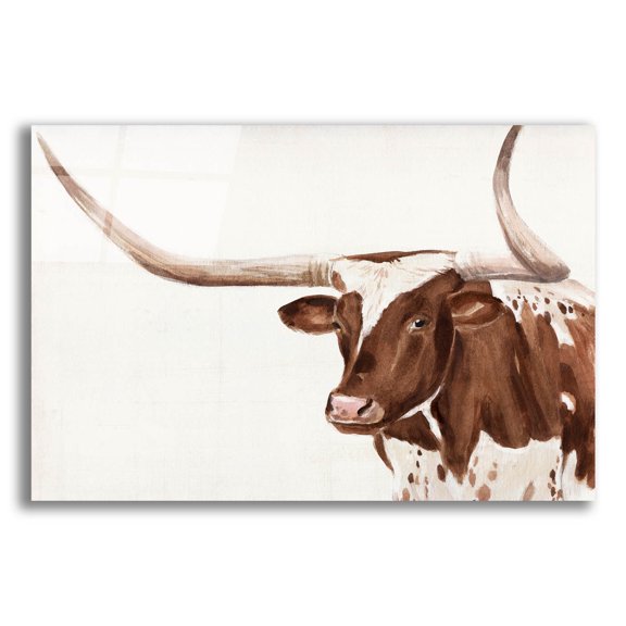 Epic Art 'Spotted Steer 3'  by Annie Warren Acrylic Glass Wall Art, 24" x 16"