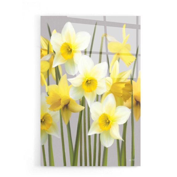 Epic Art 'Spring Daffodils' by House Fenway, Acrylic Glass Wall Art, 16"x24"