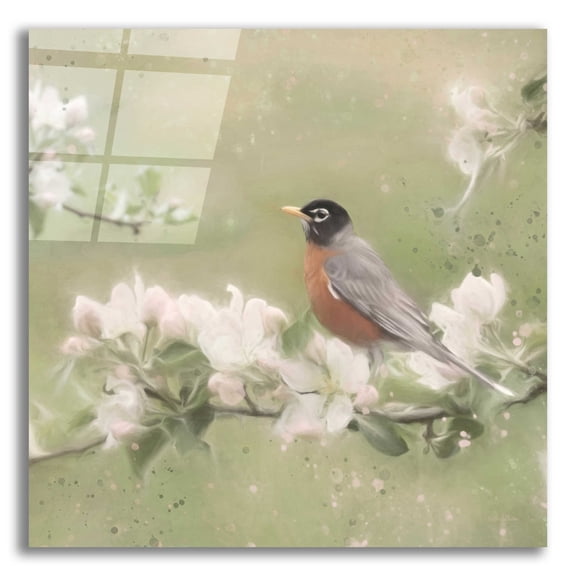 Epic Art 'Springtime Robin' by Lori Deiter, Acrylic Glass Wall Art, 12"x12"