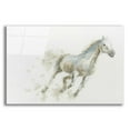 thumbnail image 1 of Epic Art 'Stallion I Horizontal' by James Wiens, Acrylic Glass Wall Art, 16"x12", 1 of 8