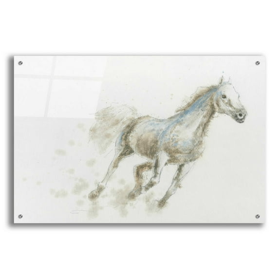 Epic Art 'Stallion I Horizontal' by James Wiens, Acrylic Glass Wall Art, 36"x24"