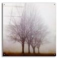thumbnail image 1 of Epic Art ' Standing Still' by Irene Suchocki, Acrylic Glass Wall Art, 36"x36", 1 of 8