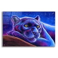 thumbnail image 1 of Epic Art 'Stargazing Colorful Black Leopard' by Rebecca Wang Art, Acrylic Glass Wall Art, 36"x24", 1 of 8
