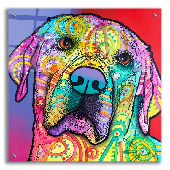 Epic Art 'Starry Lab' by Dean Russo, Acrylic Glass Wall Art, 24"x24"