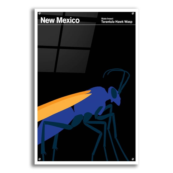 Epic Art 'State Posters NM' by Print Collection, Acrylic Glass Wall Art, 24"x36"