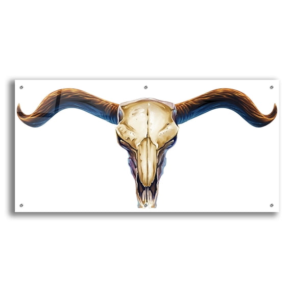 Epic Art 'Steer Skull 02' by Flyland Designs, Acrylic Glass Wall Art, 48"x24"