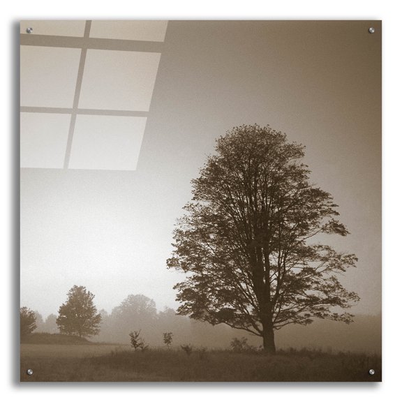 Epic Art 'Stillness' by Photoinc Studio, Acrylic Glass Wall Art, 36"x36"