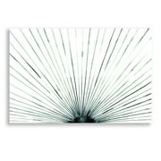 Epic Art Strobe I by Grace Popp, Acrylic Glass Wall Art, 16x12