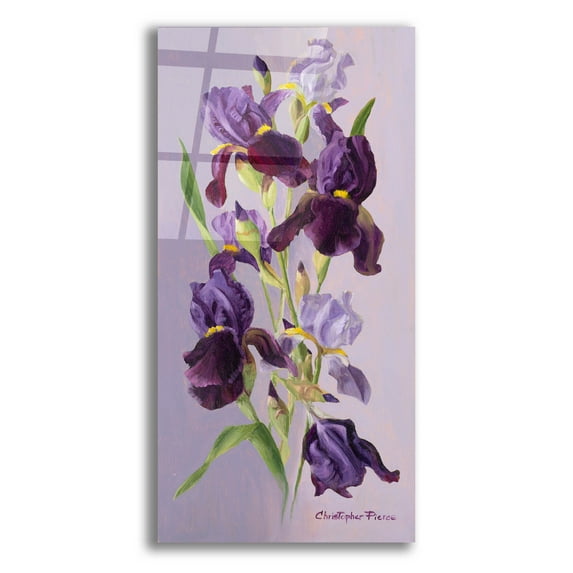 Epic Art 'Study In Lavender And Purple' by Christopher Pierce, Acrylic Glass Wall Art, 12"x24"