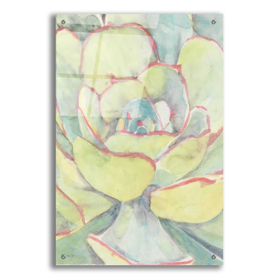 Epic Art 'Succulent Bloom 2' by Stellar Design Studio, Acrylic Glass Wall Art, 24"x36"