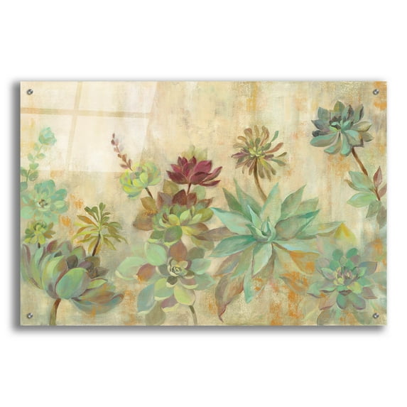Epic Art 'Succulent Garden' by Silvia Vassileva, Acrylic Glass Wall Art, 36"x24"