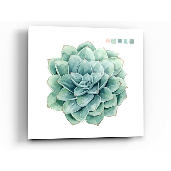Epic Art 'Succulent Swatches I' by Grace Popp Acrylic Glass Wall Art, 36"x36"