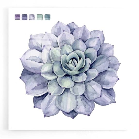 Epic Art 'Succulent Swatches III' by Grace Popp, Acrylic Wall Glass, 12"x12"