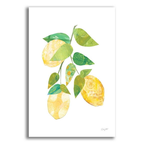 Epic Art 'Summer Lemons I by Courtney Prahl, Acrylic Glass Wall Art, 16"x24"
