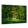 thumbnail image 1 of Epic Art 'Summer Morning In The Park' by Nicklas Gustafsson Acrylic Glass Wall Art, 36"x24", 1 of 5