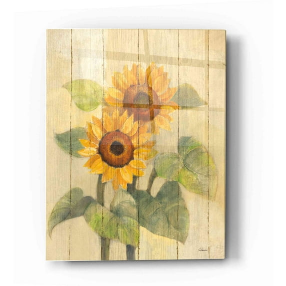 Epic Art 'Summer Sunflowers I on Barn Board' by Albena Hristova, Acrylic Glass Wall Art, 16"x24"