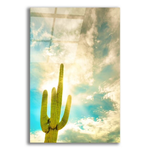 Epic Art 'Sun Burst Saguaro' by Mark A Paulda, Acrylic Glass Wall Art, 12"x16"