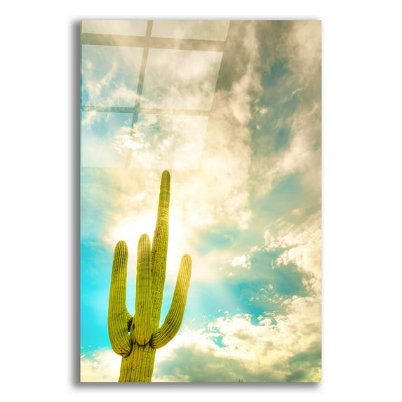 Epic Art 'Sun Burst Saguaro' by Mark A Paulda, Acrylic Glass Wall Art, 16"x24"