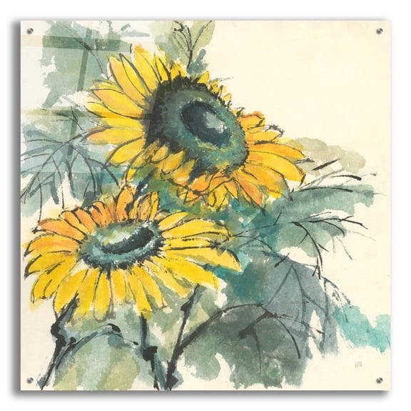 Epic Art 'Sunflower I' by Chris Paschke, 36"x36"