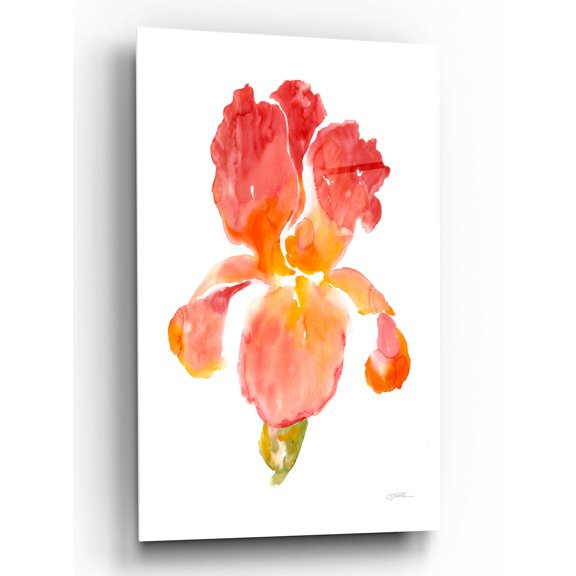 Epic Art 'Sunset Blooms I' by Tim O'Toole, Acrylic Glass Wall Art, 16"x24"