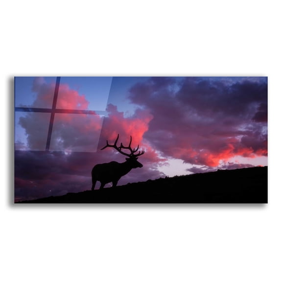 Epic Art 'Sunset in the Rockies - Rocky Mountain National Park' by Darren White, Acrylic Glass Wall Art, 24"x12"
