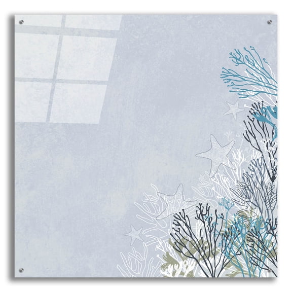 Epic Art 'Surf And Sand Corals 11' by Sabrina Balbuena, Acrylic Glass Wall Art, 36"x36"