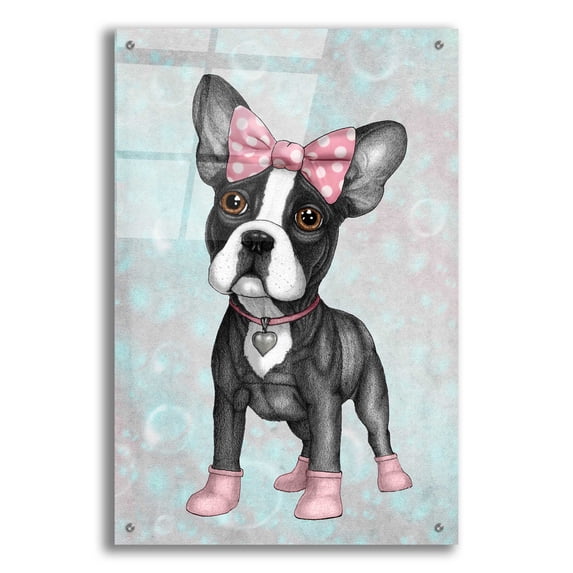 Epic Art 'Sweet Frenchie' by Barruf Acrylic Glass Wall Art, 24"x36"