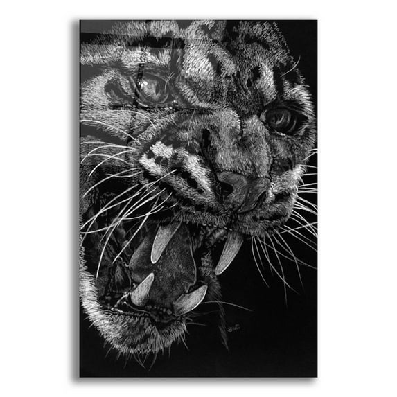 Epic Art 'Temper' by Barbara Keith, Acrylic Glass Wall Art, 12"x16"