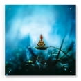 thumbnail image 1 of Epic Art 'Temporary Peace' by Mario Sanchez Nevado, Acrylic Glass Wall Art, 24"x24", 1 of 6