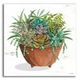 thumbnail image 1 of Epic Art 'Terracotta Succulents I' by Cindy Jacobs, Acrylic Glass Wall Art, 12"x12", 1 of 13