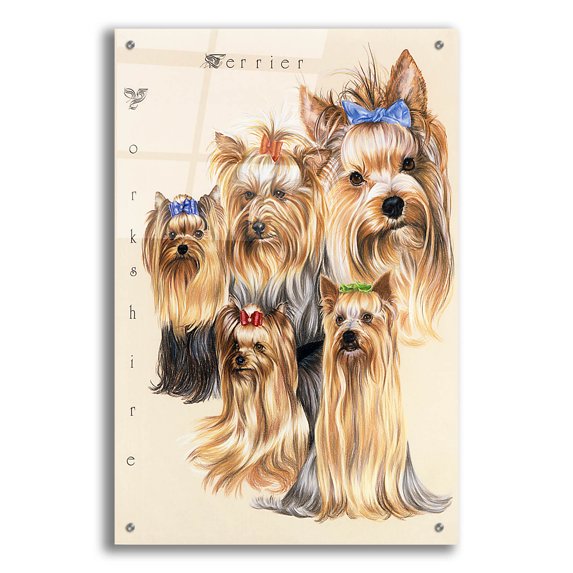 Epic Art 'Terrier' by Barbara Keith, Acrylic Glass Wall Art, 24"x36"