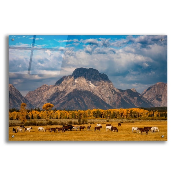 Epic Art 'Teton Horse Ranch - Grand Teton National Park' by Darren White, Acrylic Glass Wall Art, 36"x24"