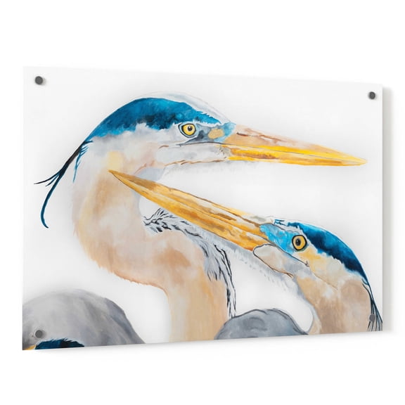 Epic Art 'The Dance' by Diane Fifer, Acrylic Glass Wall Art, 36"x24"